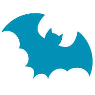Bat Removal Services